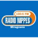 RADIO NIPPES FM 100.5
