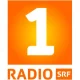 SRF 1 Bern Freiburg Wallis