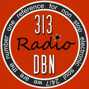 313 DBN Radio