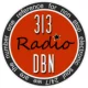313 DBN Radio