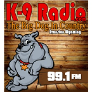 99.1 KNYN THE BIG DOG
