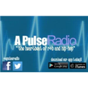 A Pulse Radio
