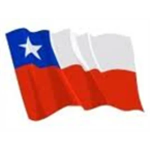 Busologos Chilenos On Line