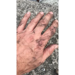 Croydivision Transmissions