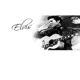 Elvis And Company