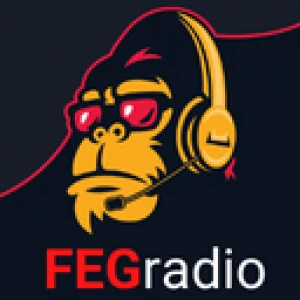 FEGradio
