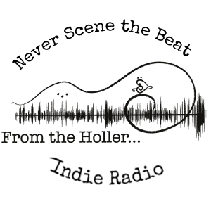 From The Holler Indie Music & Talk
