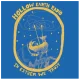 Hollow Earth Radio