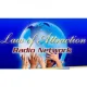 Law of Attraction Radio Network