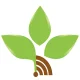 New Life Radio