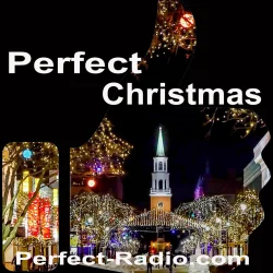 Perfect Christmas