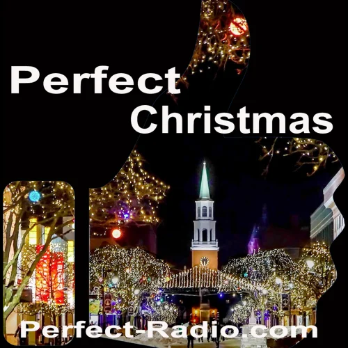 Perfect Christmas
