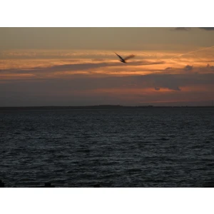 Radio Gemini International