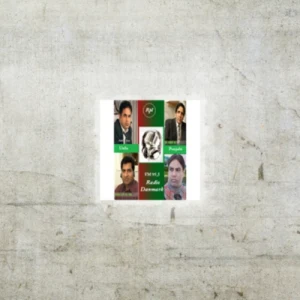 Radiopaklink Denmark