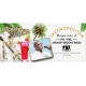 Smooth Groove Radio