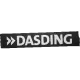 SWR DasDing Plattenleger