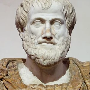 The Reasonable Man Cave