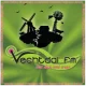 Vechtdal FM
