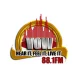 Voice of Wits