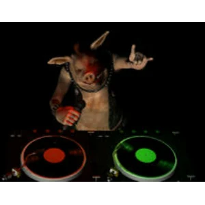 WDBSTHE ROCKHOG RADIO