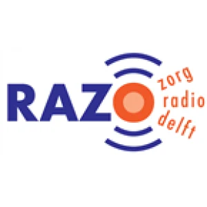 Zorgradio RAZO Delft